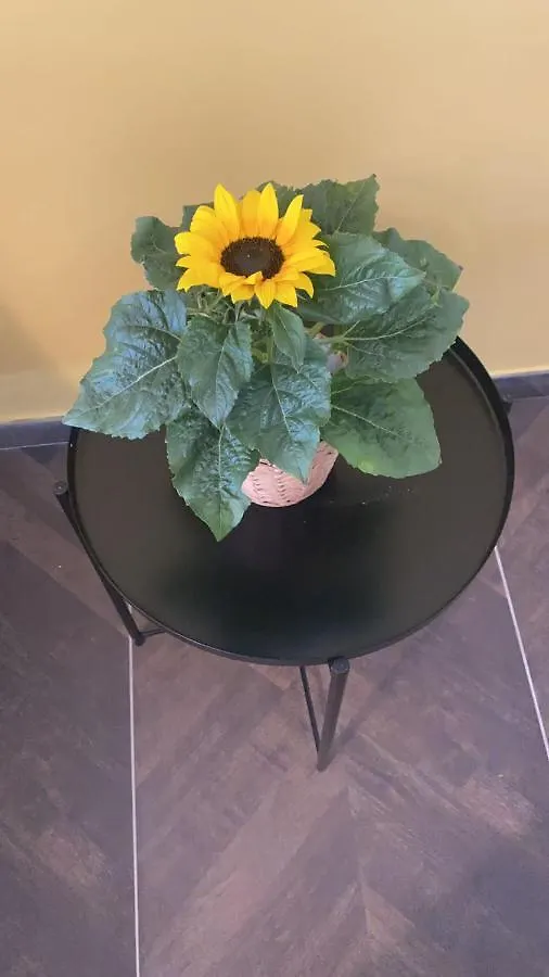 Caravaggio Boutique Apartment Napoli